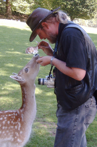 Feeding the deer at Prinknash Abbey