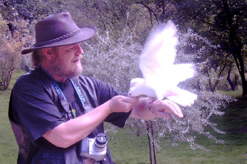 Bill feeding doves at Prinknash Abbey