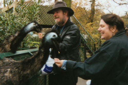 Here we are at Paradise Park, being eaten by emus